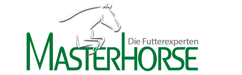 Logo Masterhorse