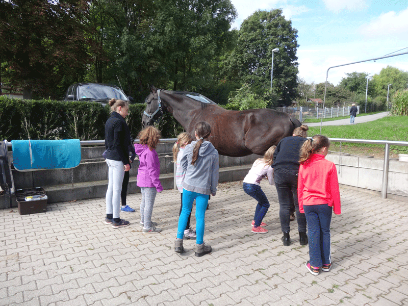 Volti Schnuppertag 2017_2