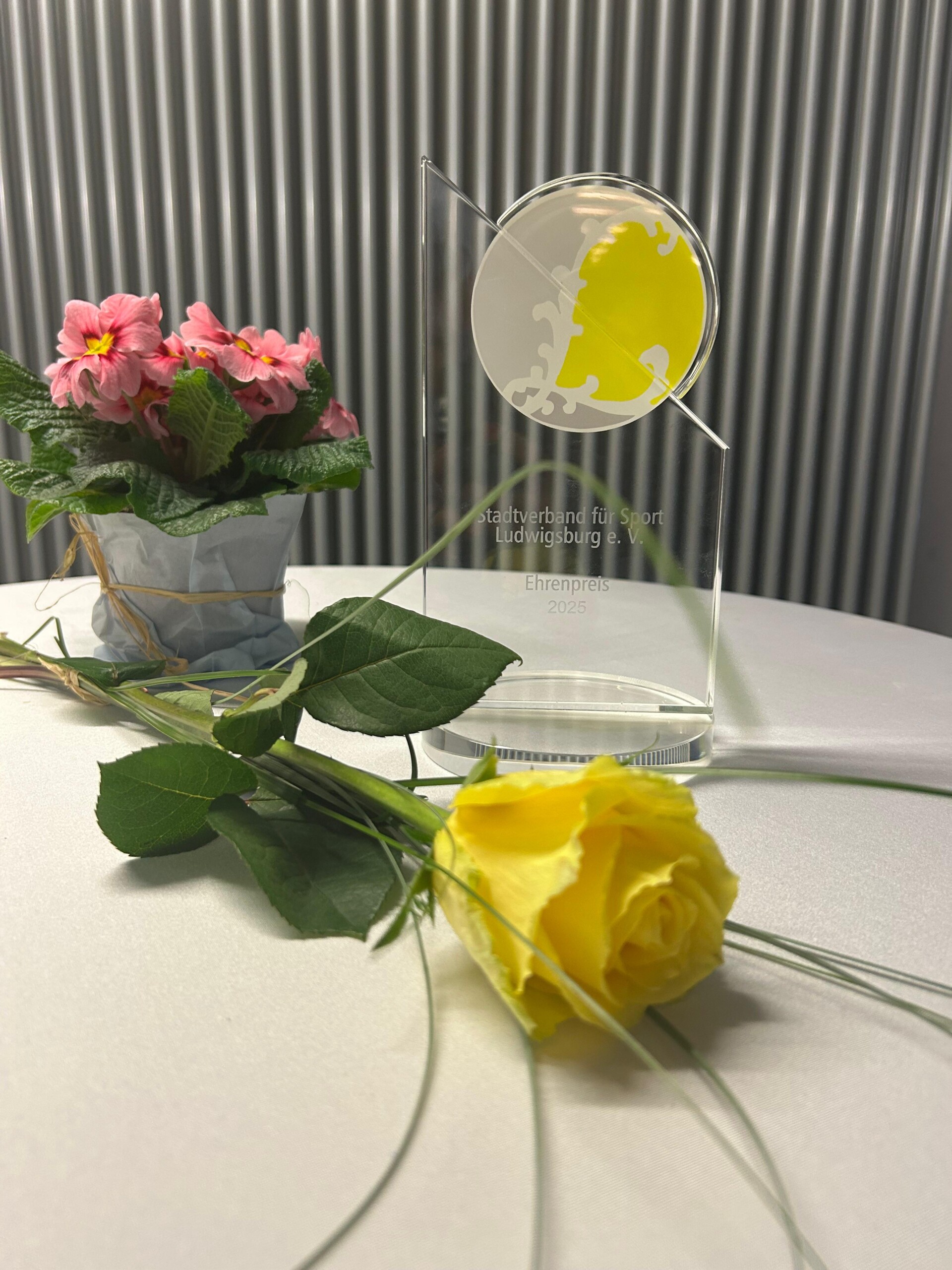 Stadtverband für Sport Ehrung Birgit Sommer 2026_Ehrenpreis