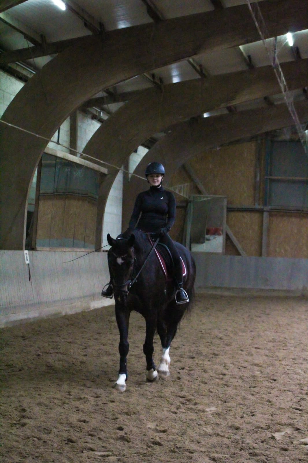 Trainingstag Lämmle 2026_Dressur 5